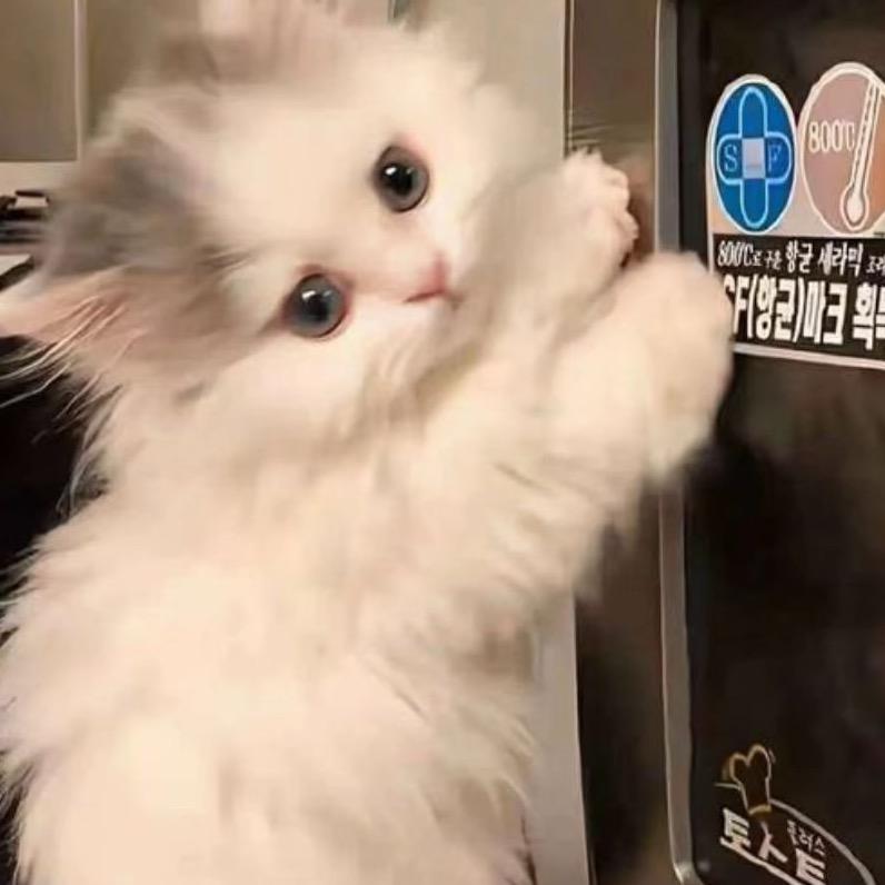芝樱🧀