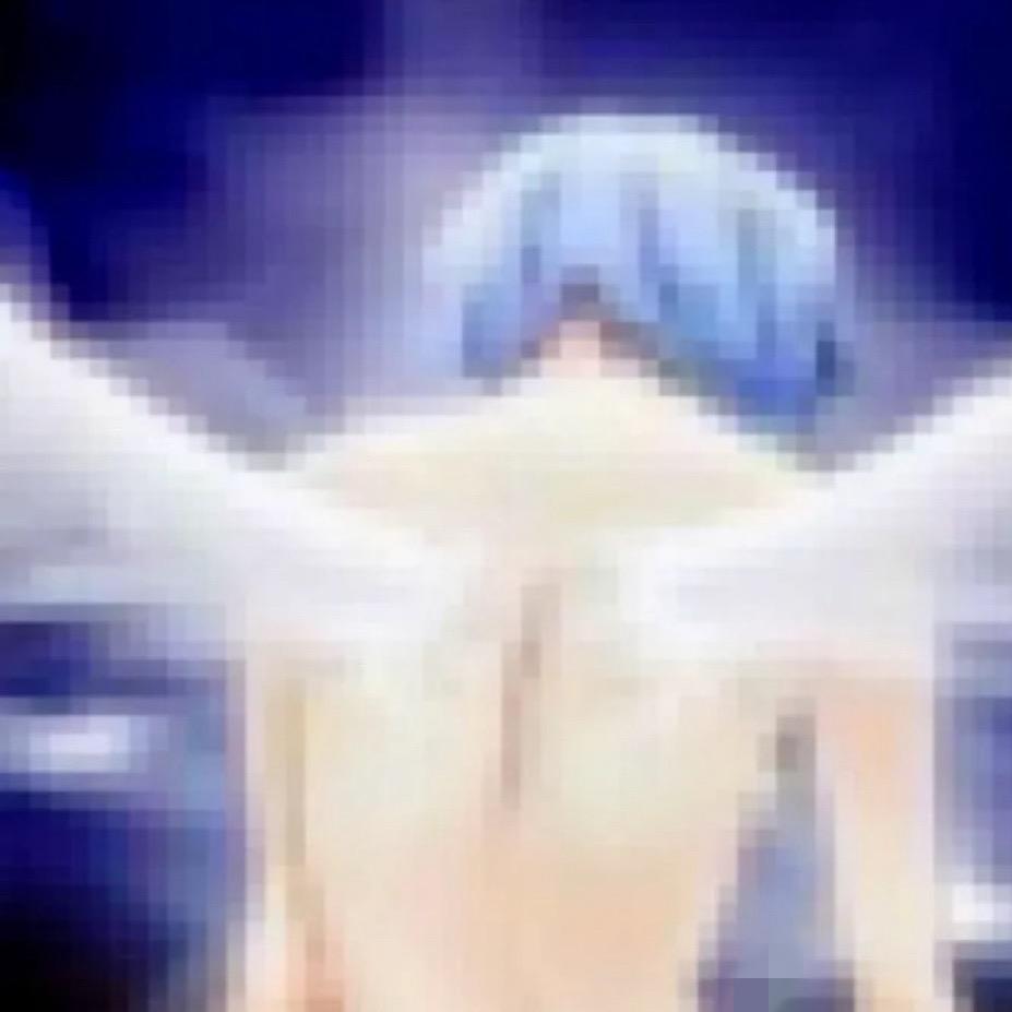 我是一隻無足鳥