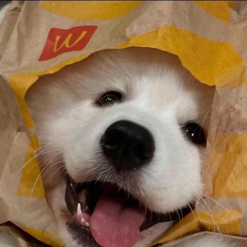 可乐鸡翅.