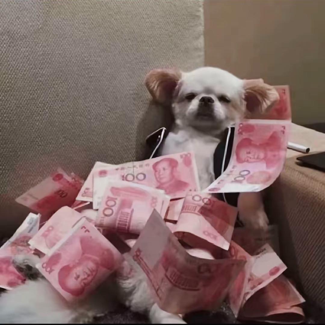 南阳车悦汽车工作室