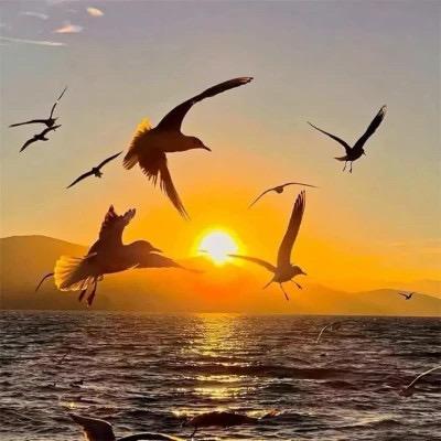 恒越智能家居工厂店