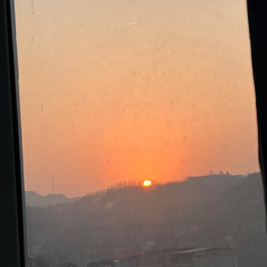豫见🌻