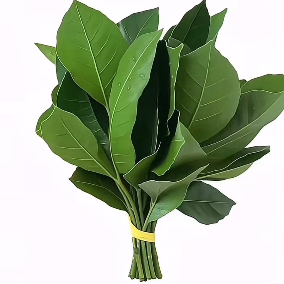 .張嘻嘻