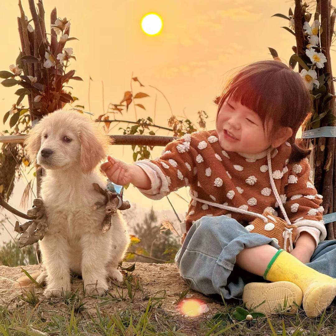 语过添情～☘️
