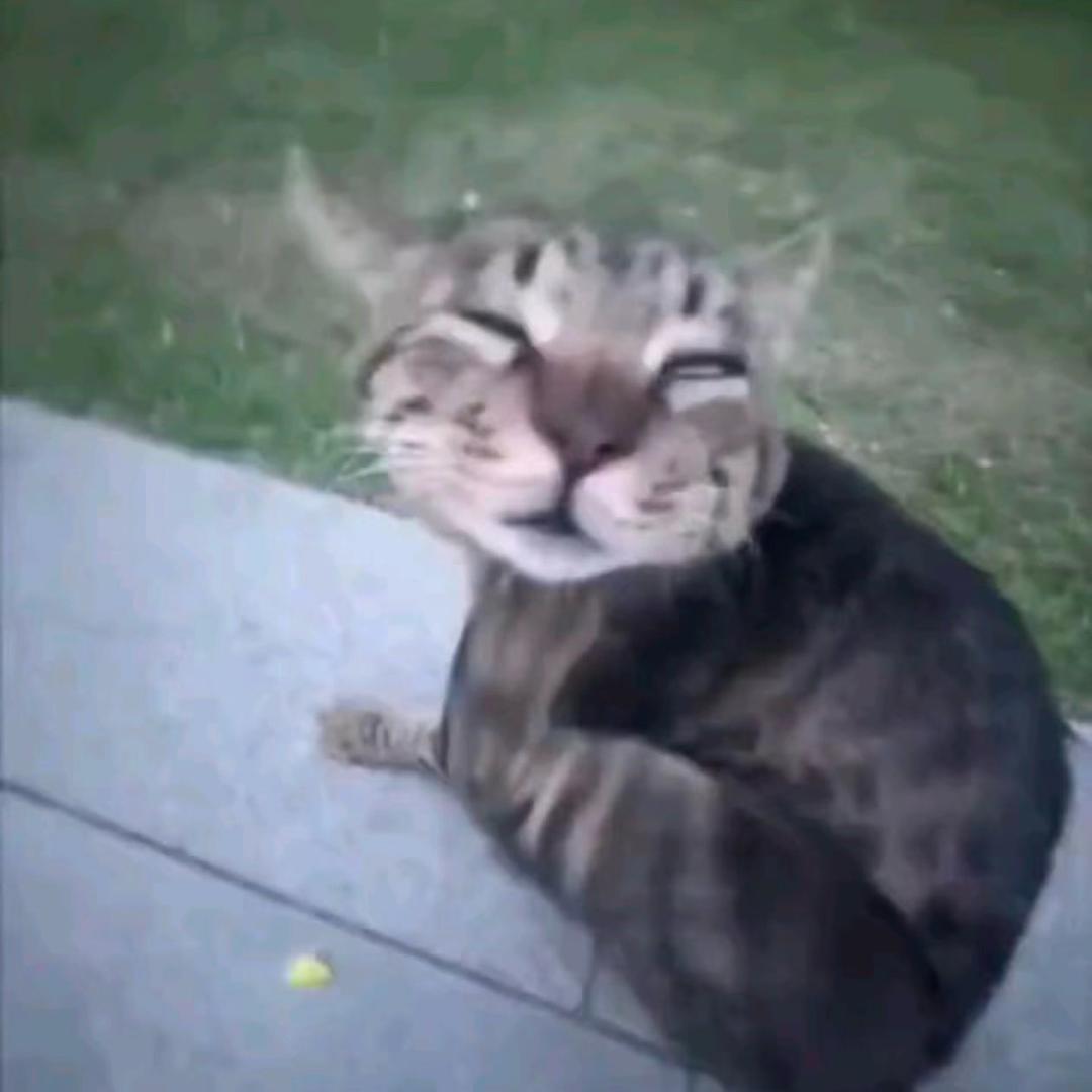 “^_^^_^”