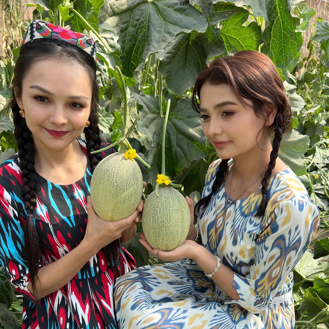 疆果达人