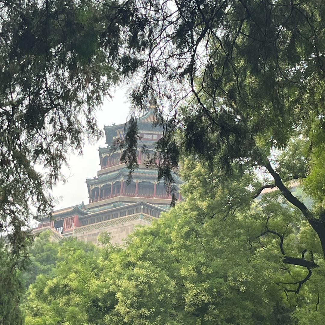 赵赵呀（拒私聊连赞）