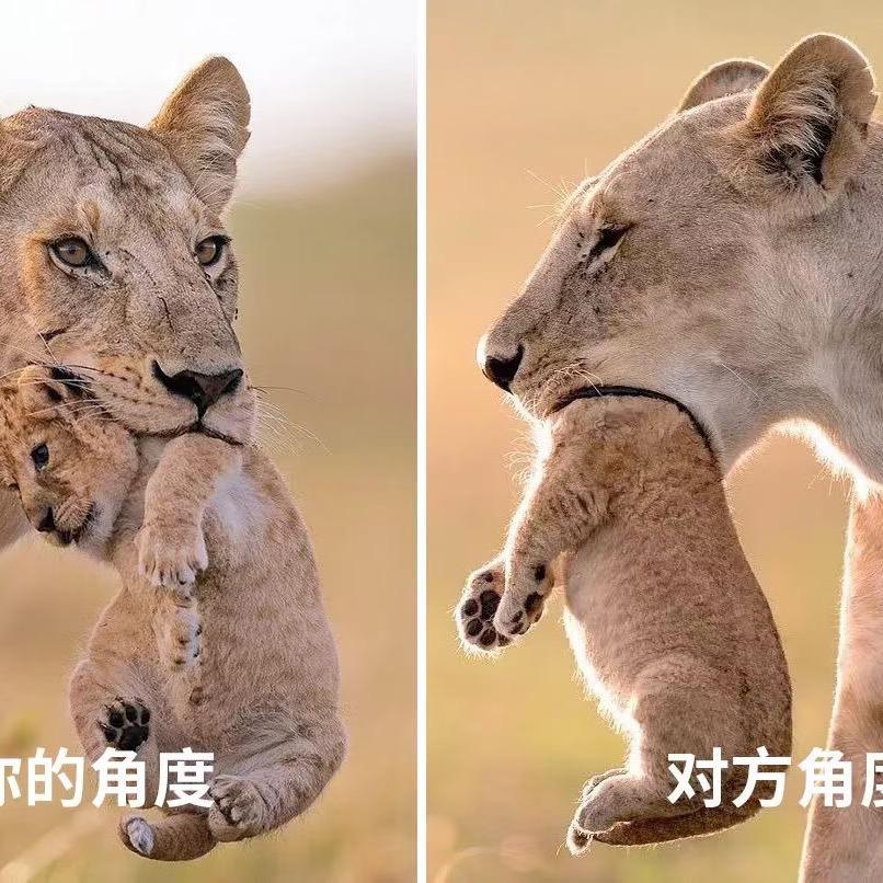 索马里没海盗🏴‍☠️