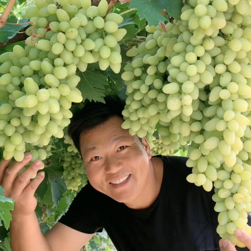 阿豪农村人