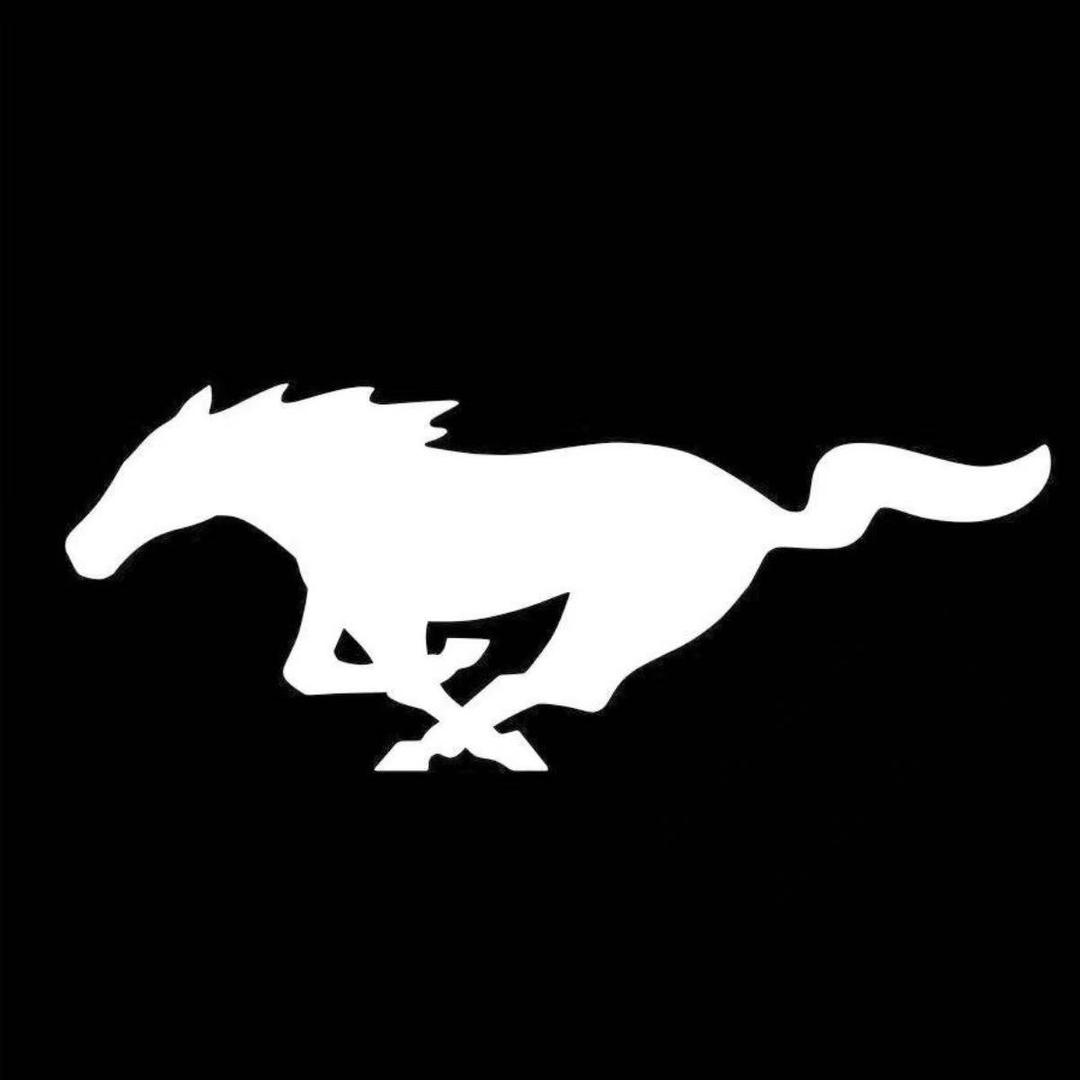 重庆福特Mustang