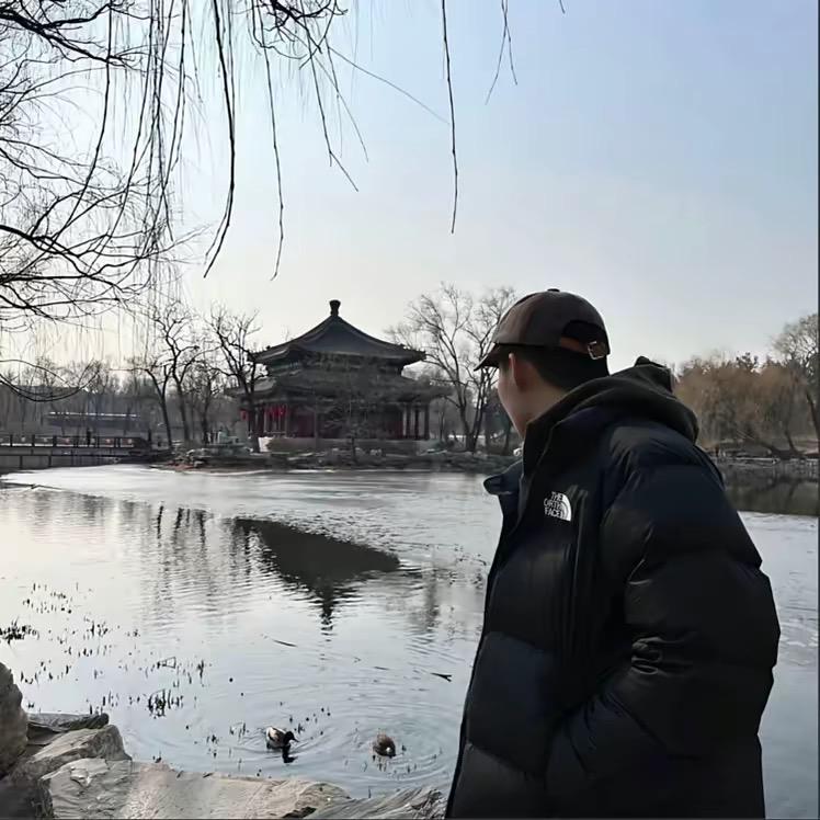 事与愿违.
