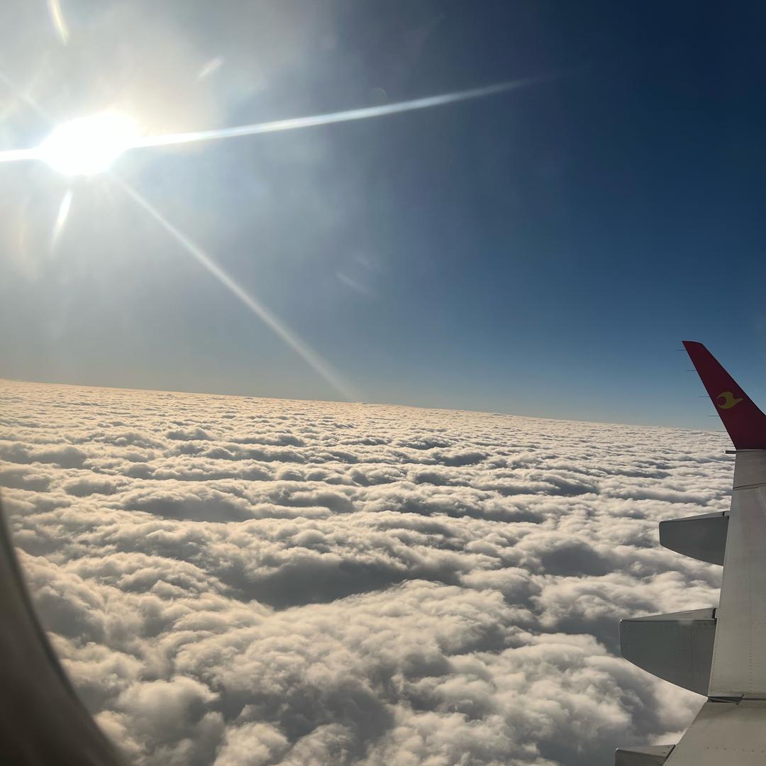 G848766453