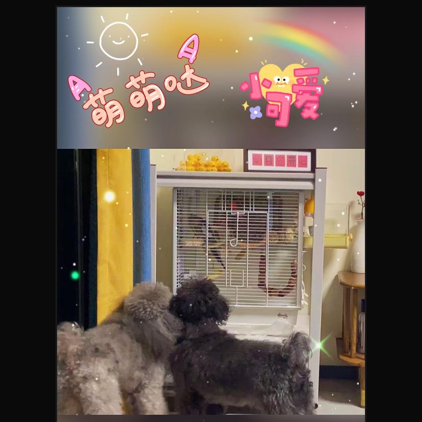 🍀₅²⁰✨7✨¹ᶟ₁₄🍁