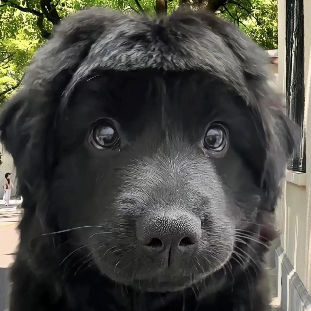 吃不吃