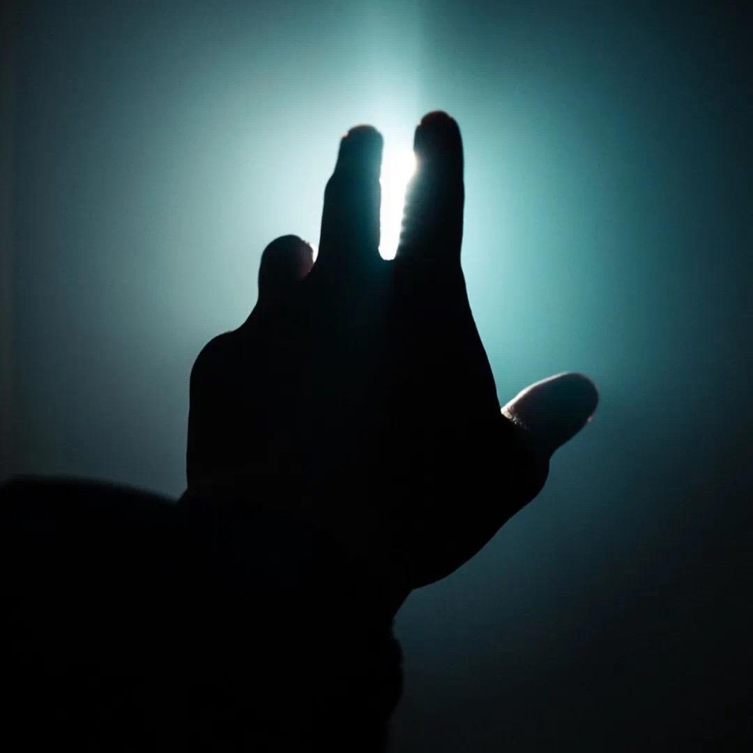 大王叫我来巡山。