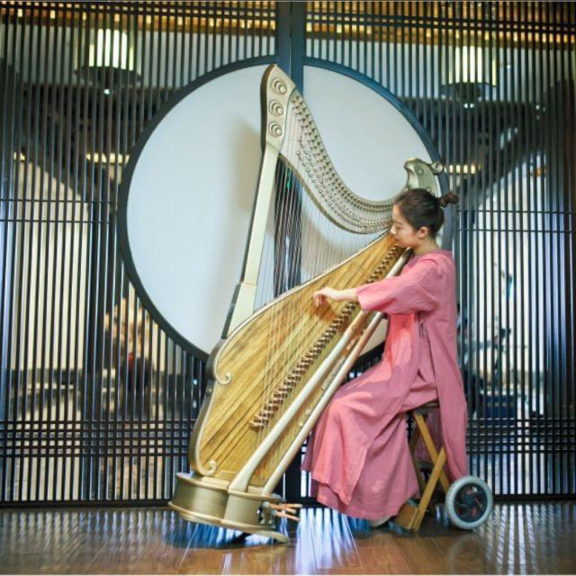 箜篌仙女🧚‍♀️