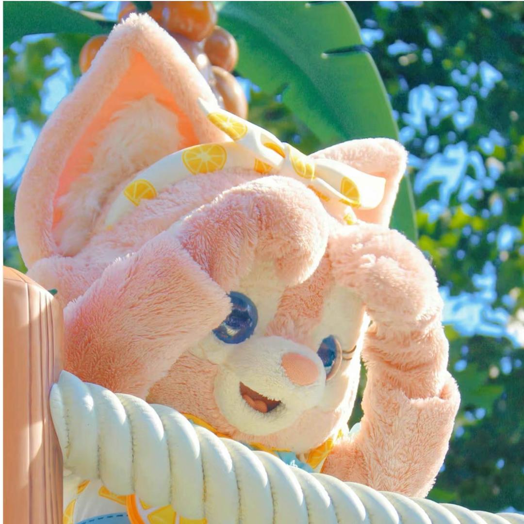 一只小兔子🐰