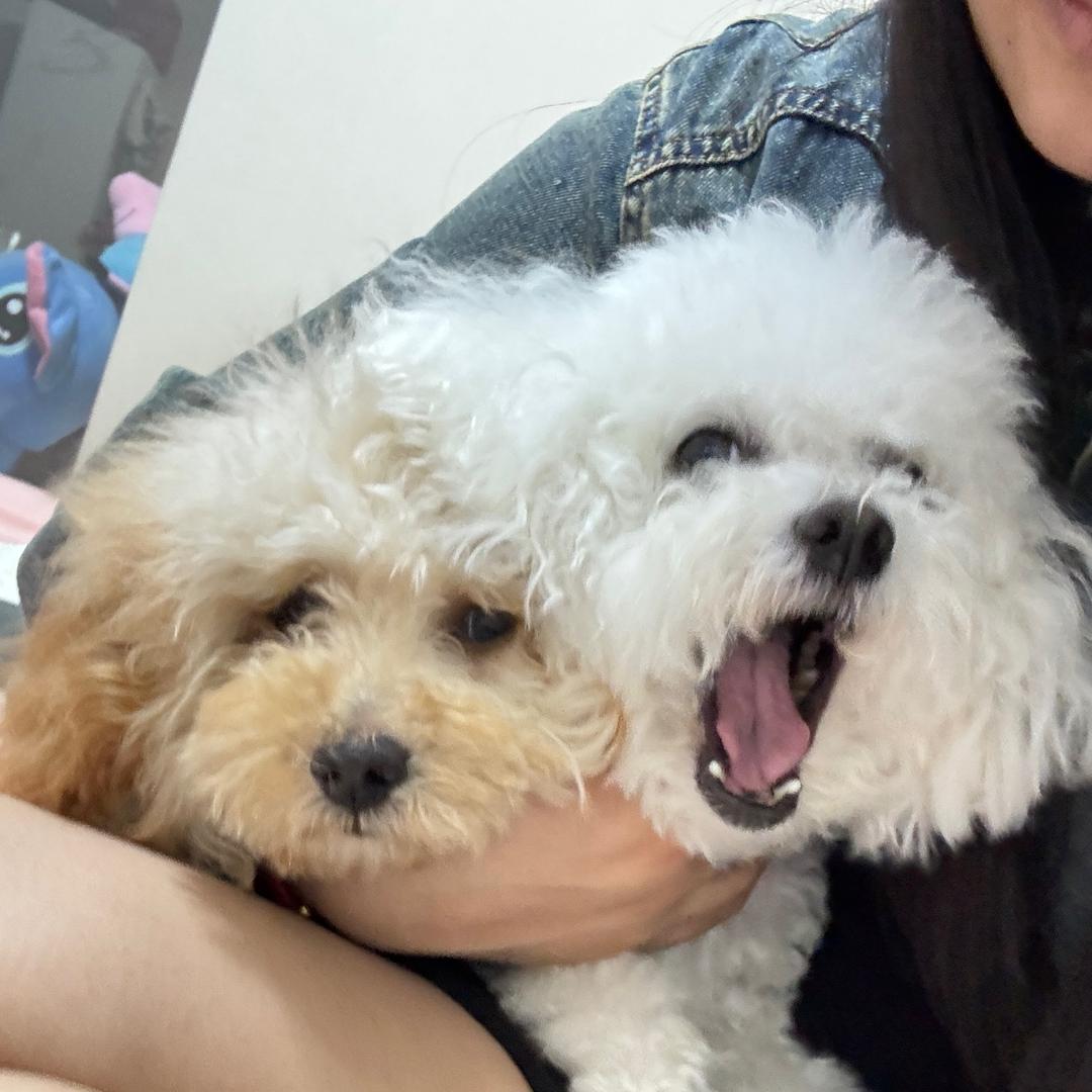 nono bubu.