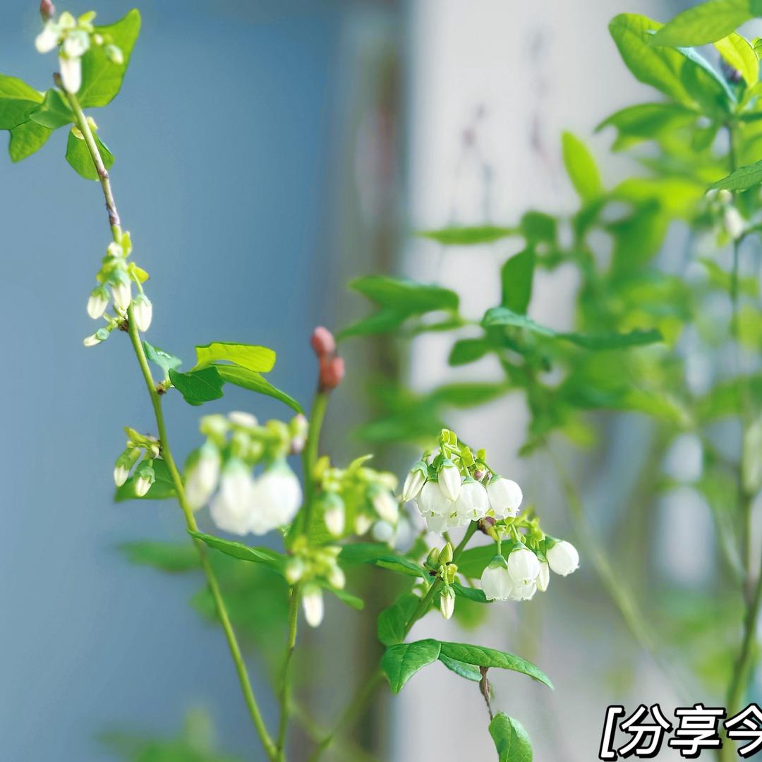 八度余温