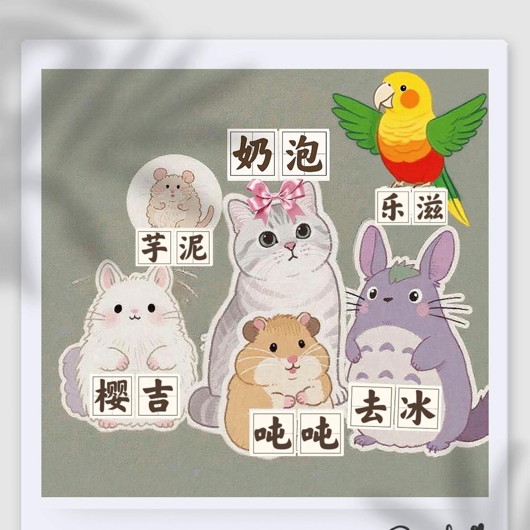 奶泡的mini幼稚园来啦🎀✨