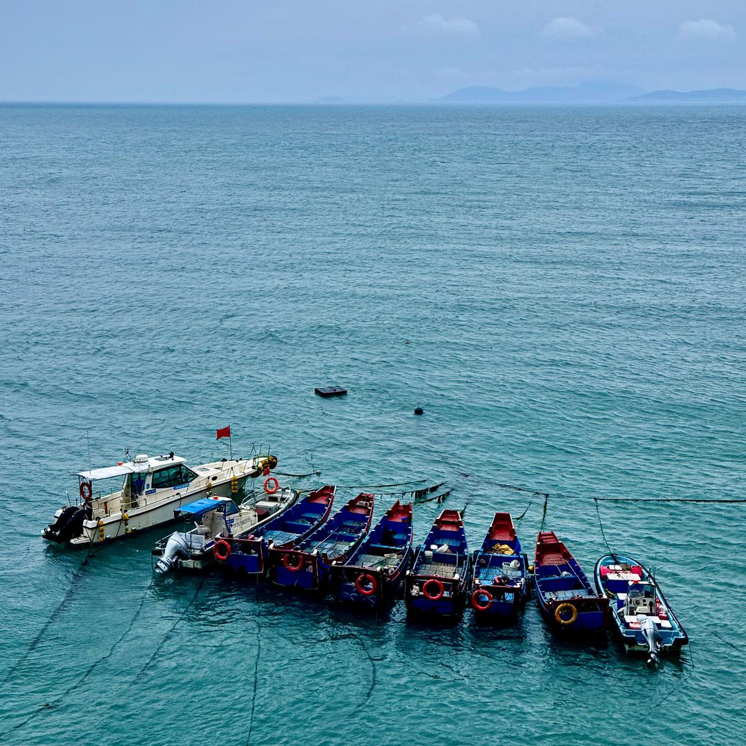 037号沧田店韩永