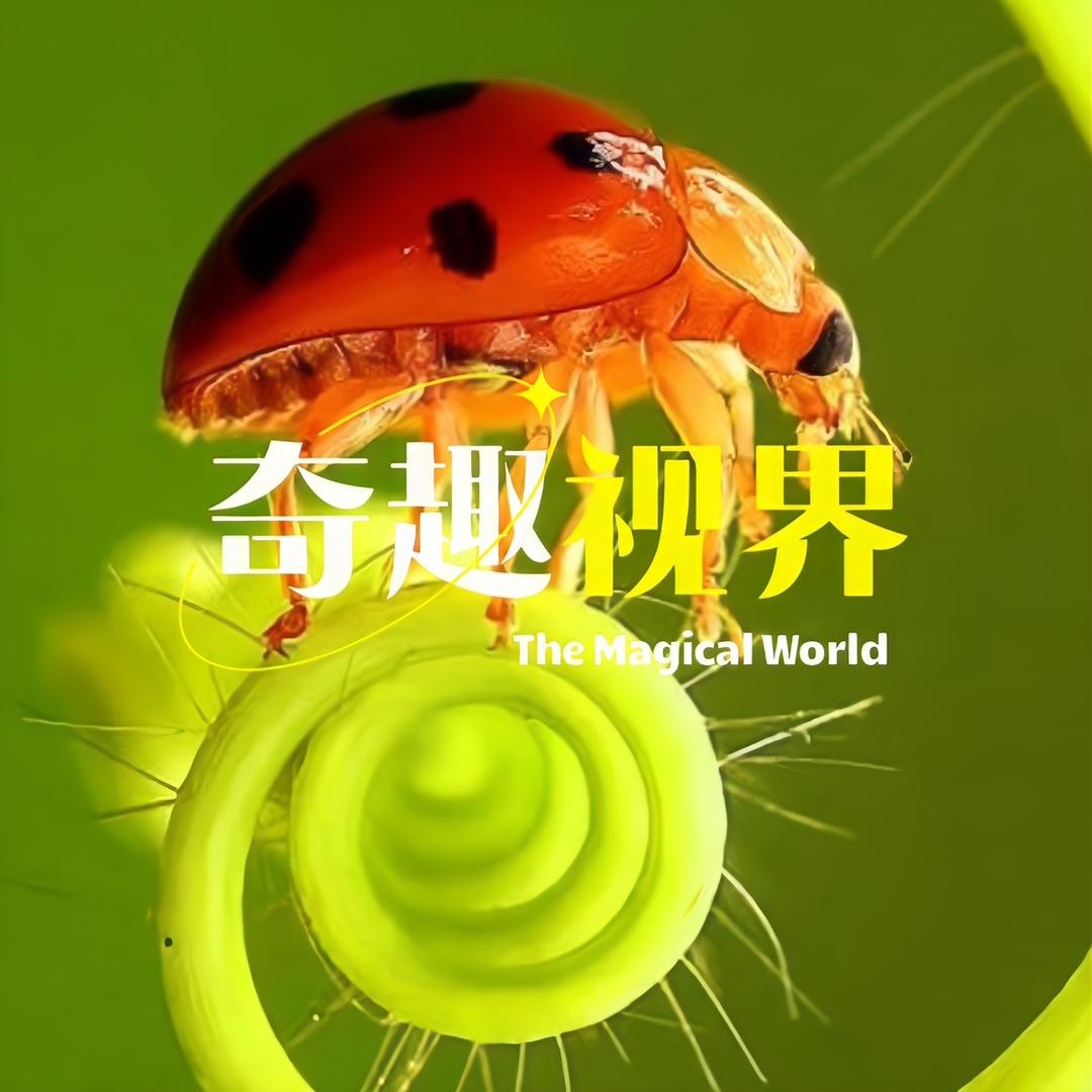 奇趣视界