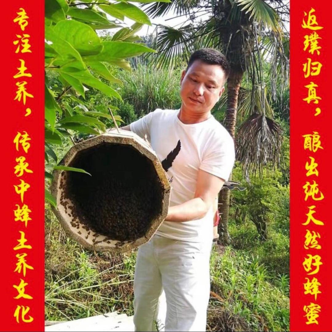 a 深山有宝