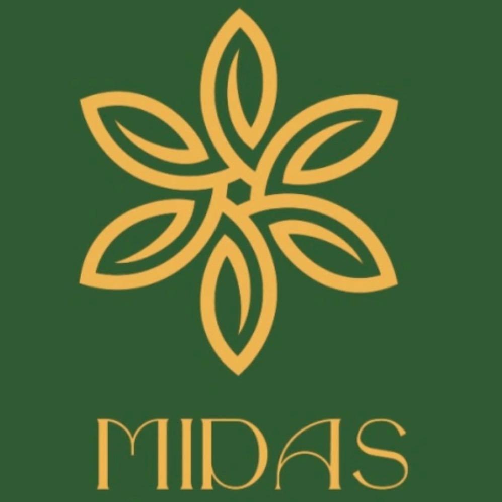 弥达斯玫瑰MIDAS