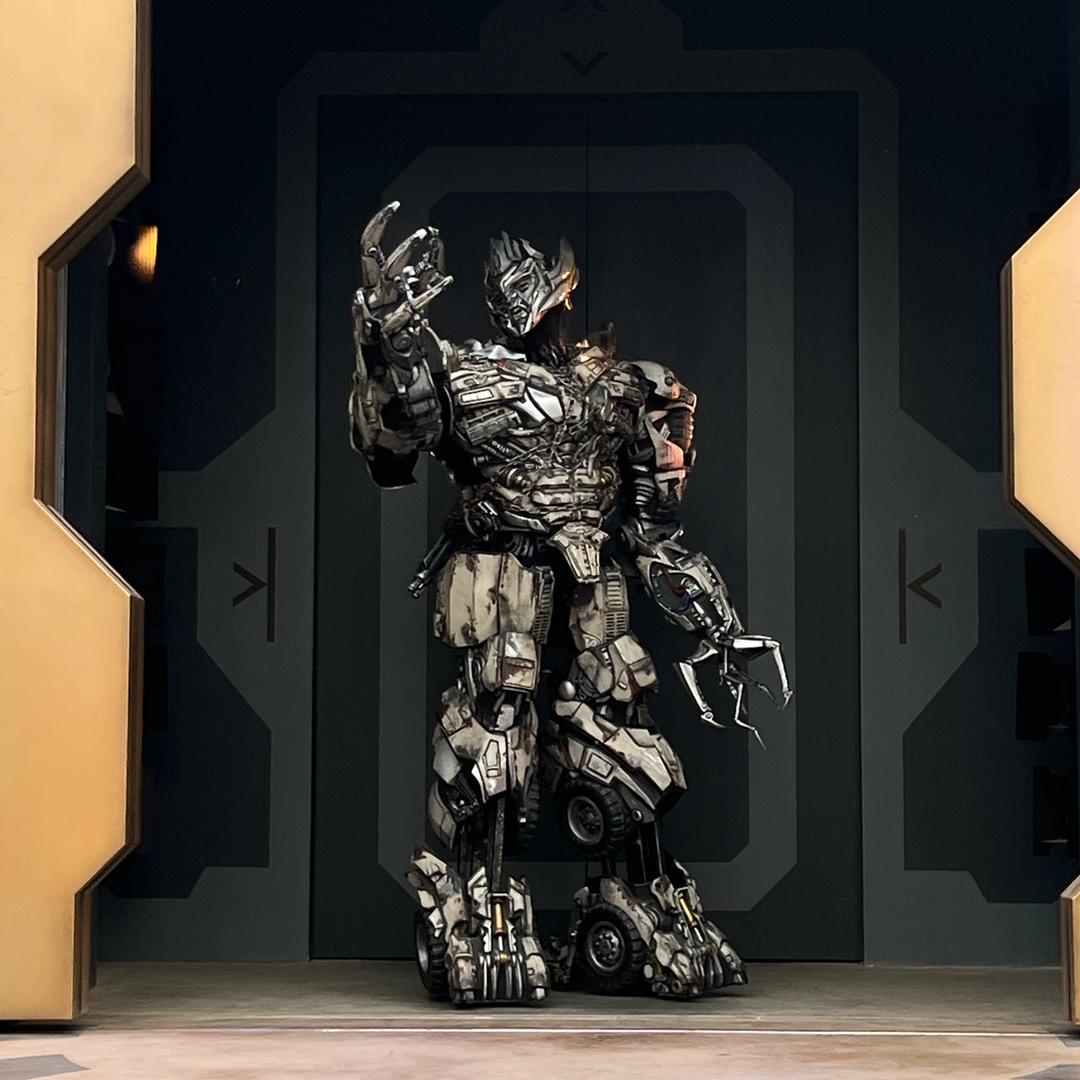 娜就早点睡🌸🌸