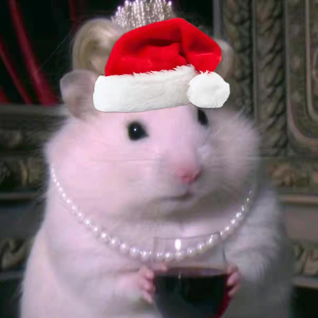 诶我不是天才吗