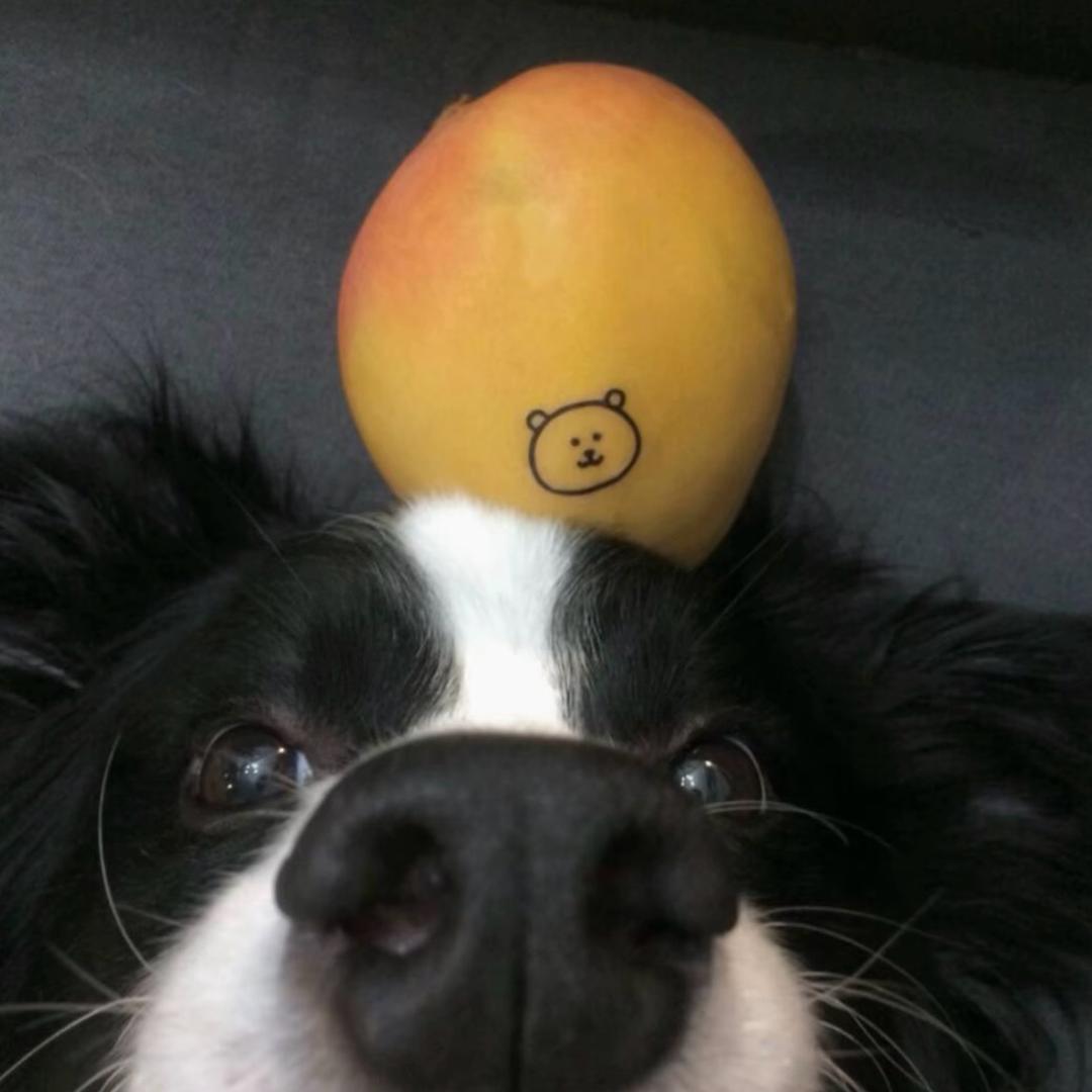 卖机车的Jay（卖车版）