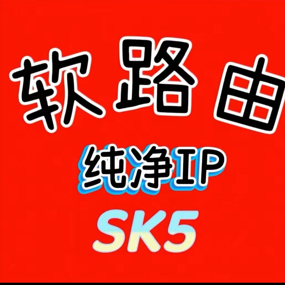 李星辰网络搭建