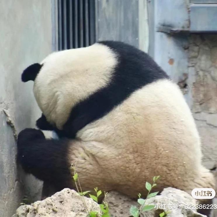 小邢星⭐