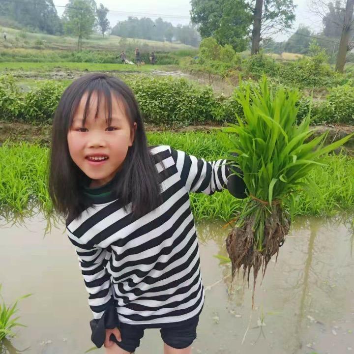 李波🚩