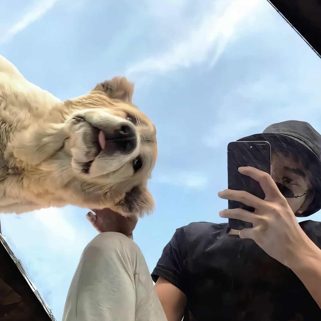 你