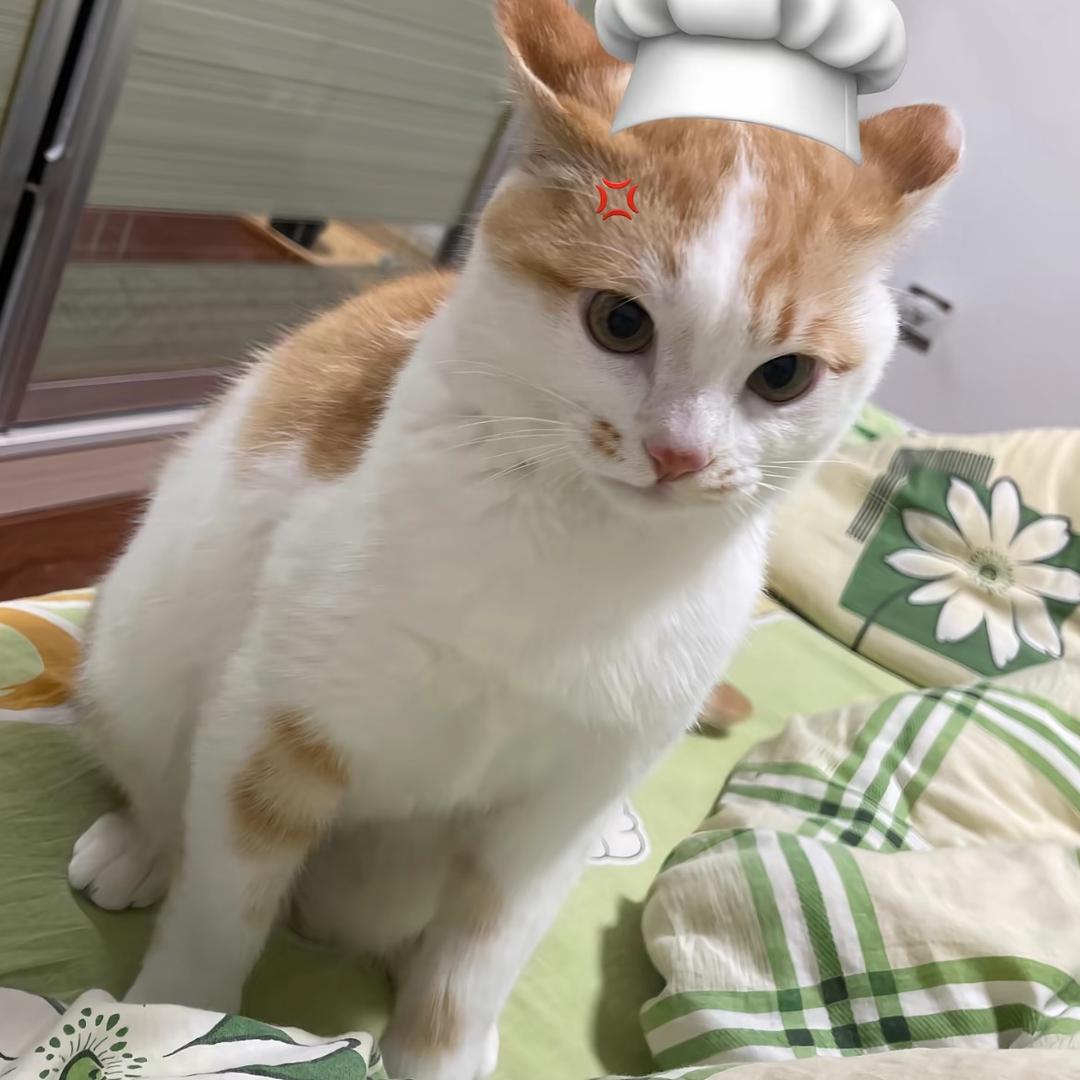 狂踹瘸子另一条好腿