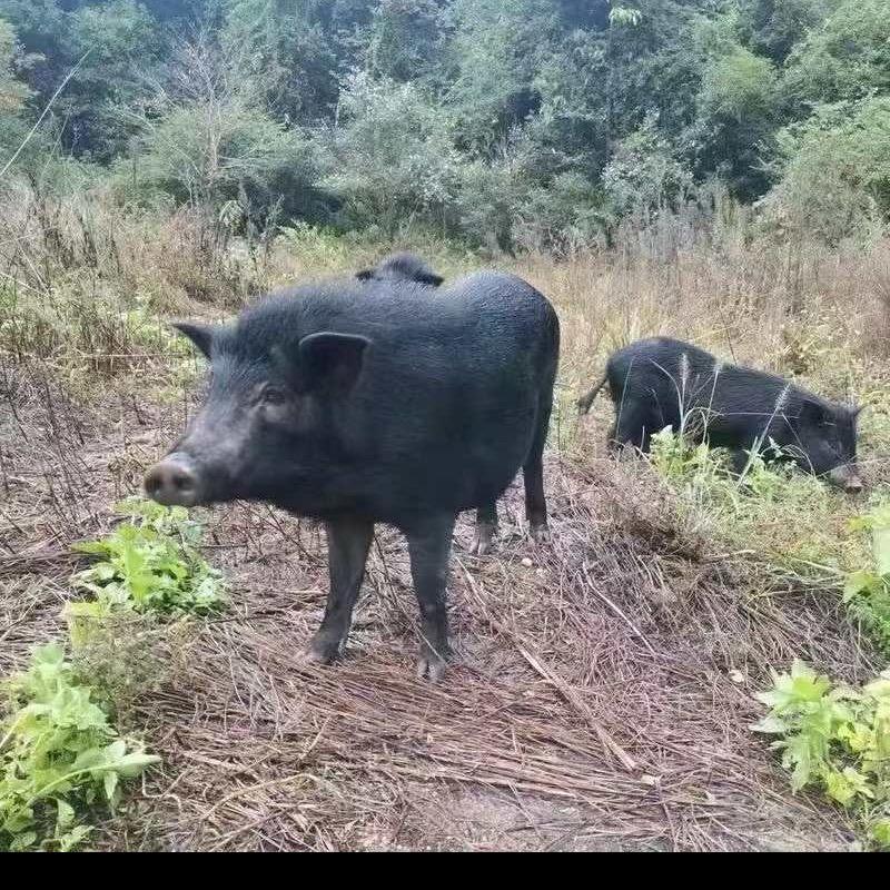 福亦汇严选铺子