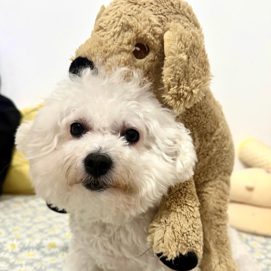 偏口鱼