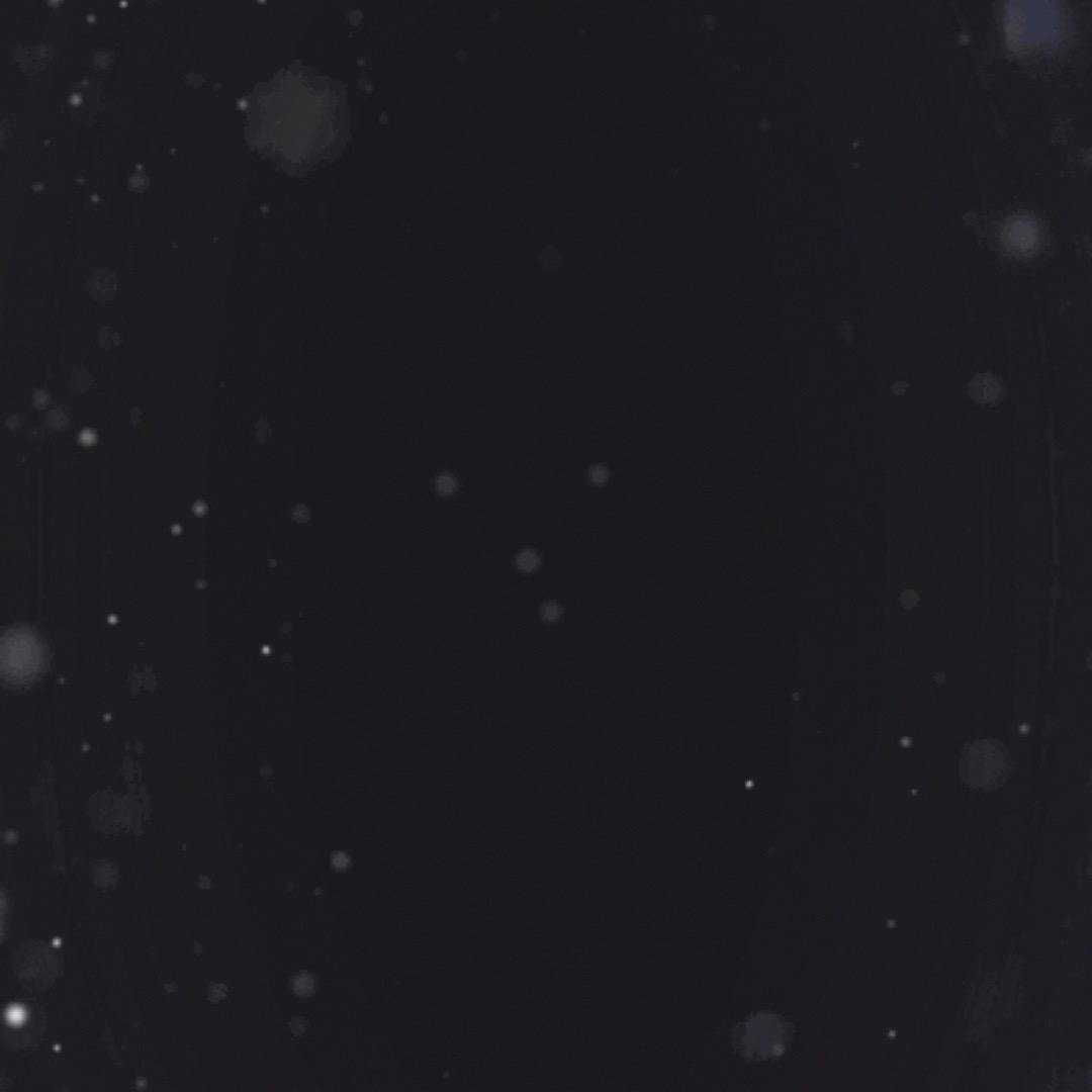 111