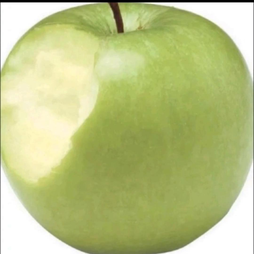 大树大树靠大树