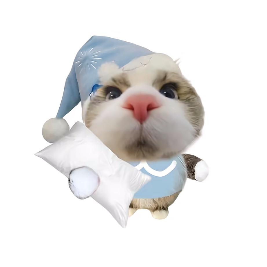 Vi
