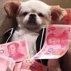 小颜努力在增肌