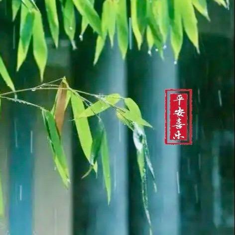 听雨