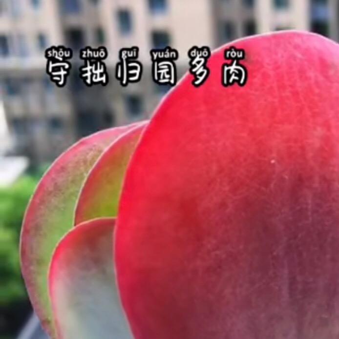 守拙归园