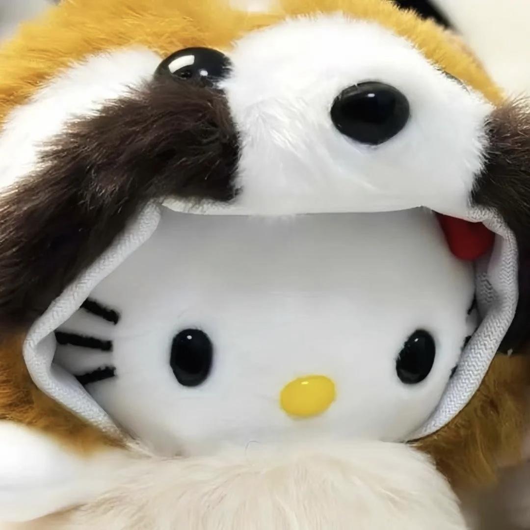 呆