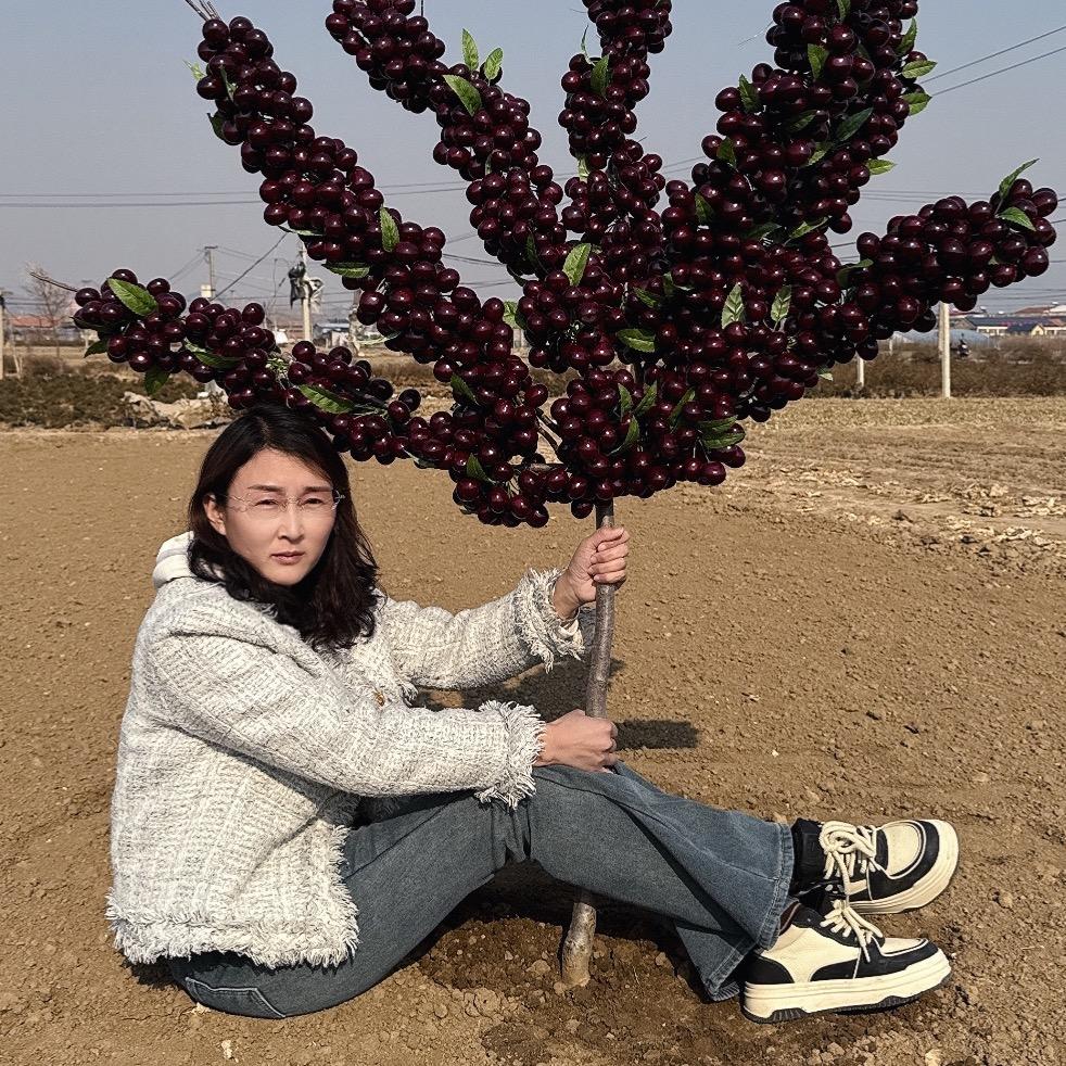 魏龙果树苗木专营店