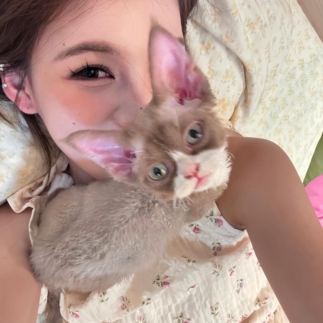 Kitty