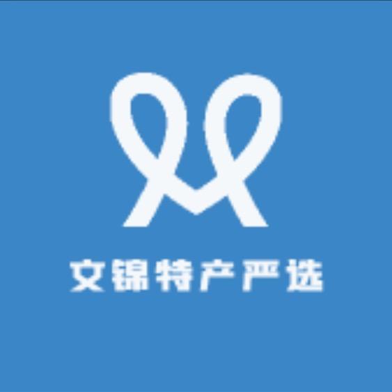 文锦特产干果严选