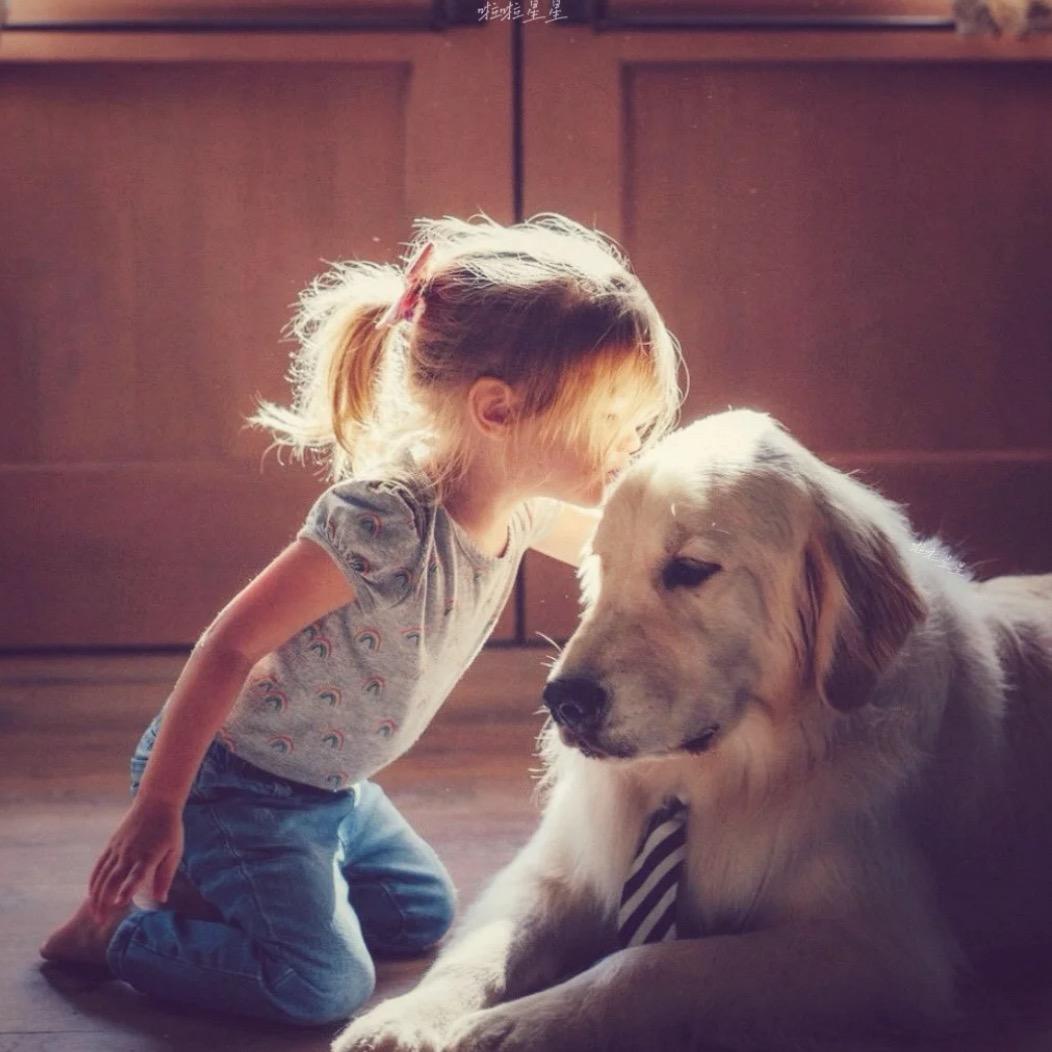 装酷被自己帅飞了