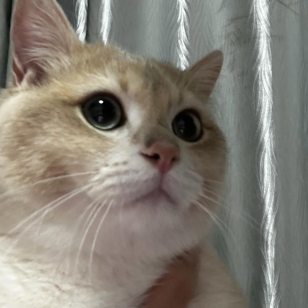 我是老外滩全季销售🤡